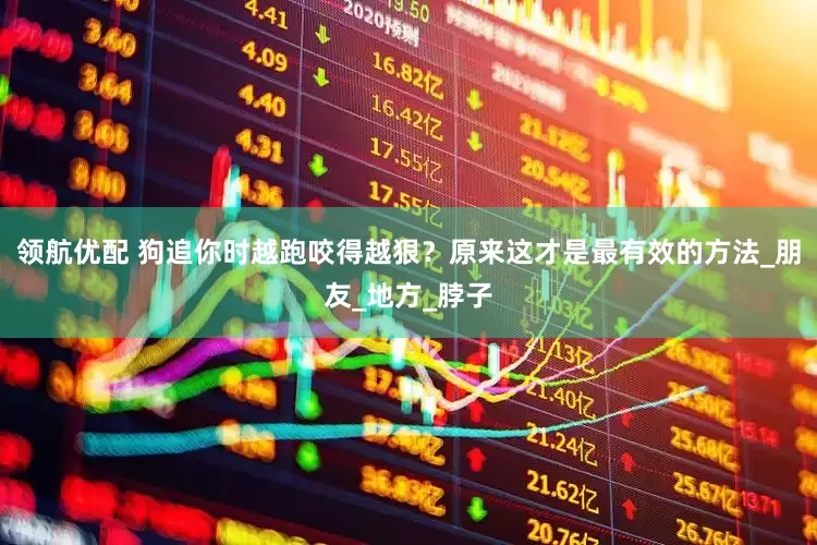 领航优配 狗追你时越跑咬得越狠？原来这才是最有效的方法_朋友_地方_脖子
