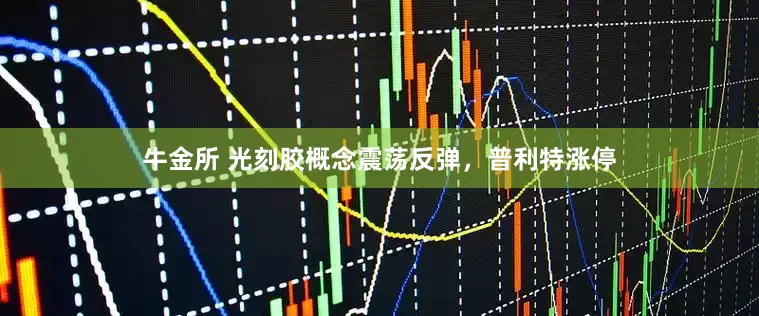牛金所 光刻胶概念震荡反弹，普利特涨停