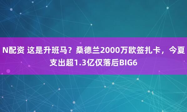 N配资 这是升班马？桑德兰2000万欧签扎卡，今夏支出超1.3亿仅落后BIG6