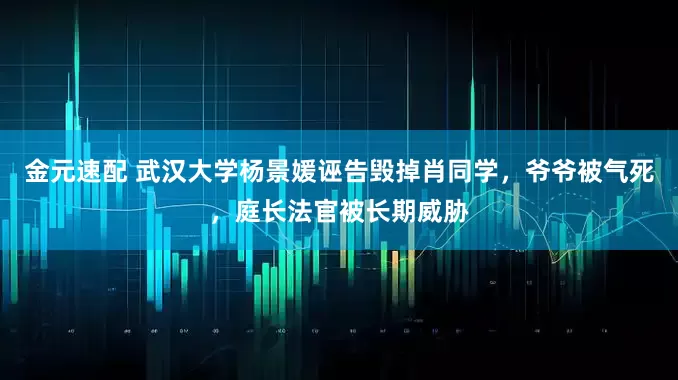 金元速配 武汉大学杨景媛诬告毁掉肖同学，爷爷被气死，庭长法官被长期威胁