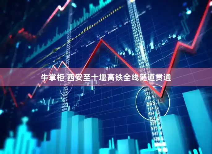 牛掌柜 西安至十堰高铁全线隧道贯通