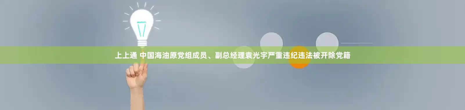 上上通 中国海油原党组成员、副总经理袁光宇严重违纪违法被开除党籍