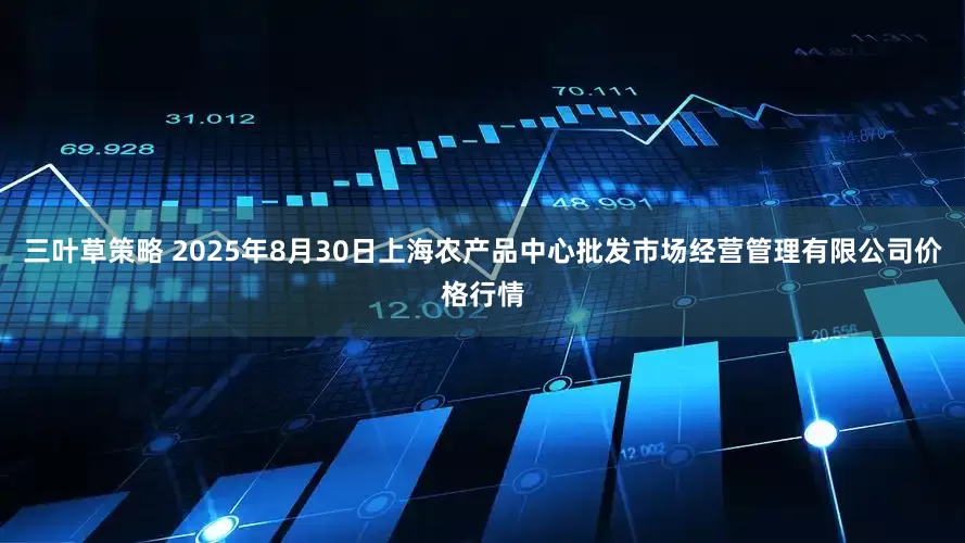 三叶草策略 2025年8月30日上海农产品中心批发市场经营管理有限公司价格行情