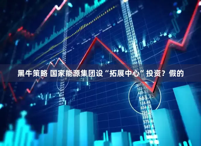 黑牛策略 国家能源集团设“拓展中心”投资？假的
