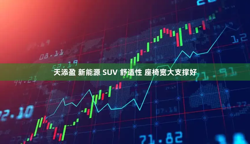 天添盈 新能源 SUV 舒适性 座椅宽大支撑好